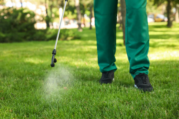 Best Pest Control Near Me in Maysville, NC