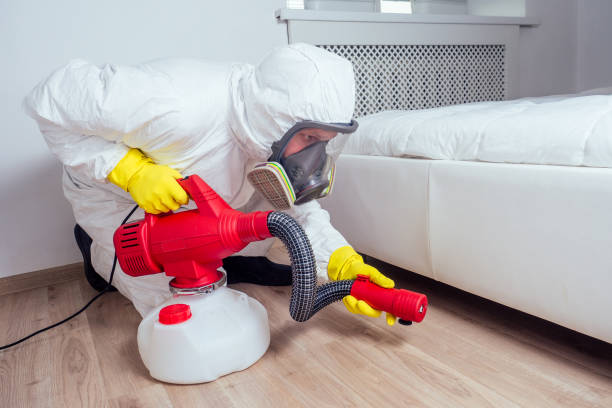 Best Pest Control Treatment  in Maysville, NC